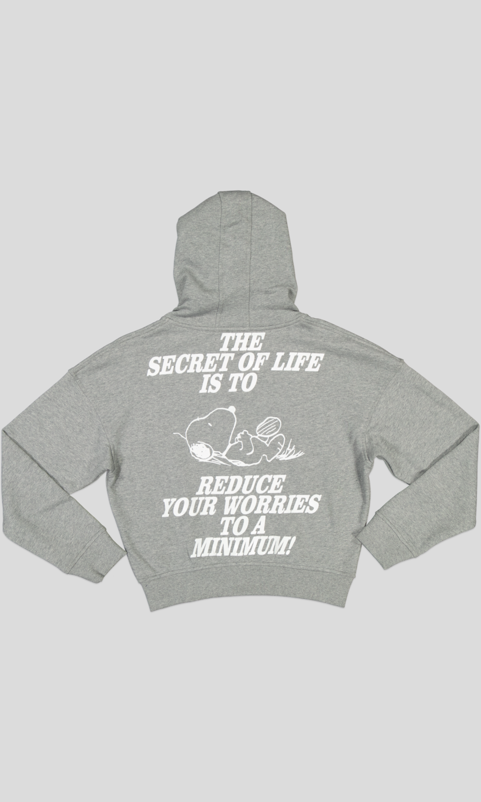 WPCAF7008_WP (2) HOODIE MOLLETON COTON – Image 3